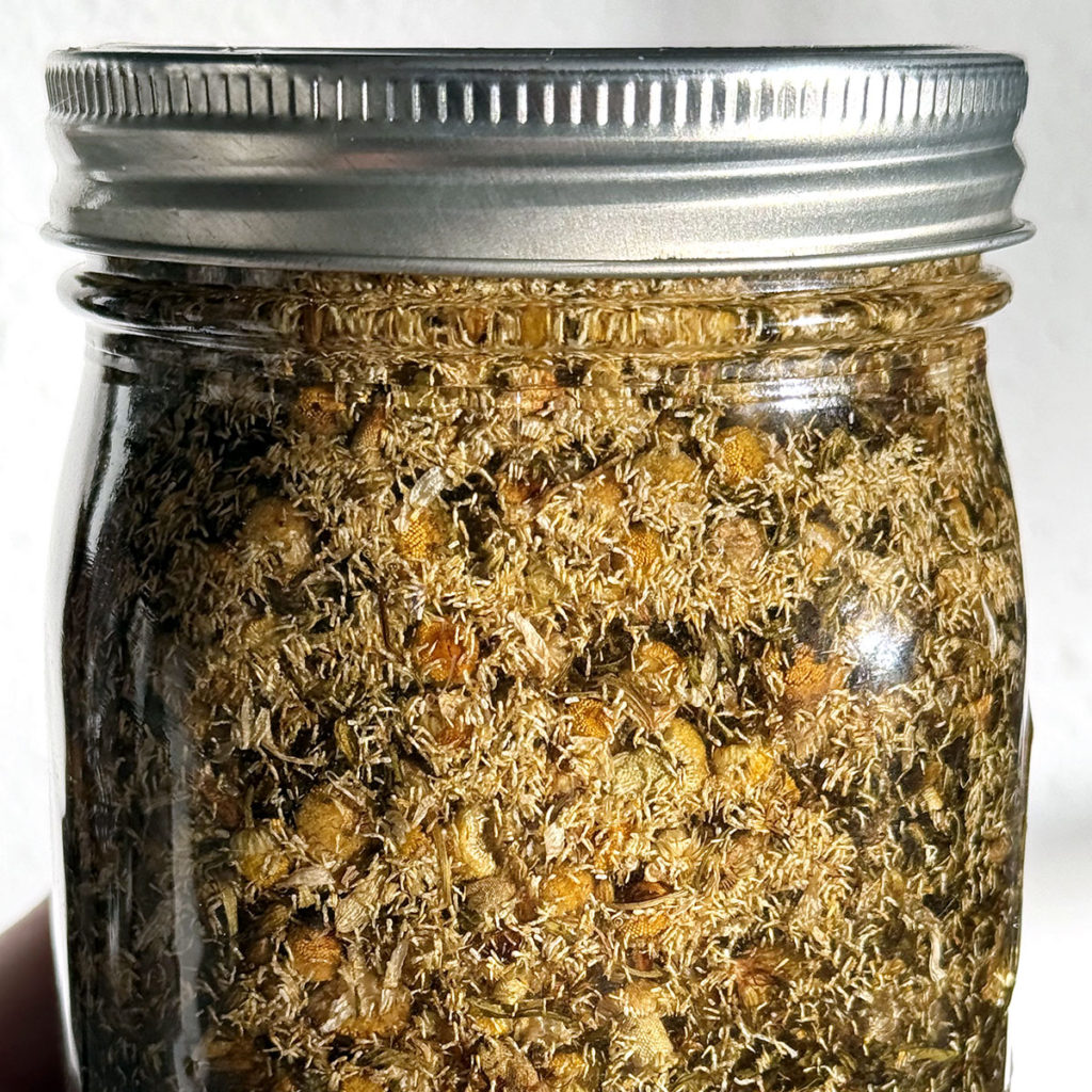 Chamomile and hemp flower infusing in coconut oil. 