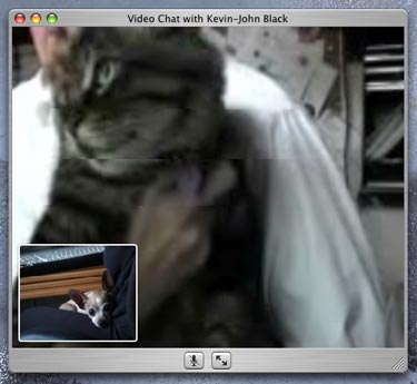 ichat3.jpg